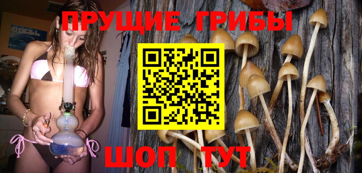 Псилоцибиновые грибы Cubensis  Вход с VPN  Галлюциногенные грибы Psilocybine cubensis  Белорецк 